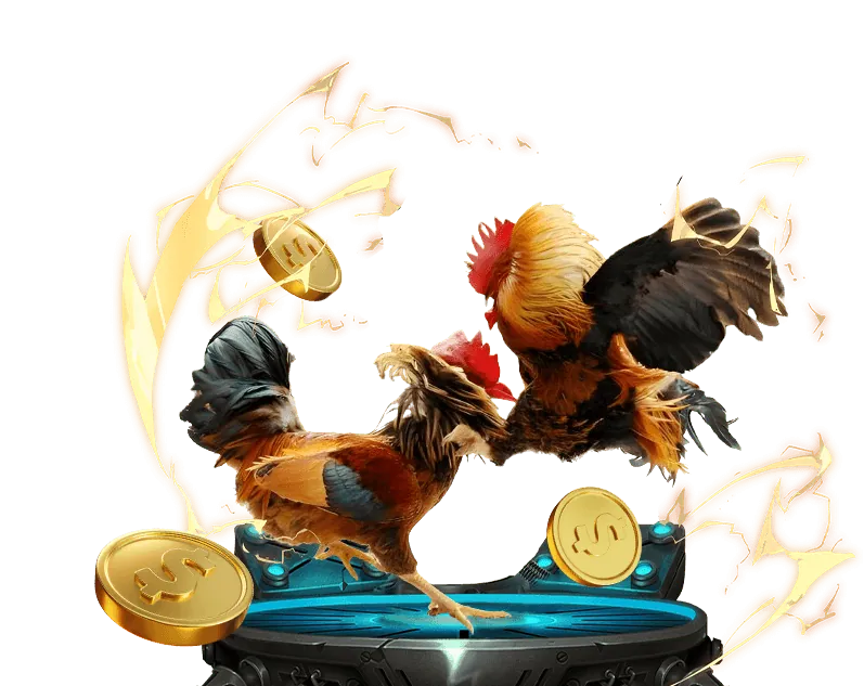 Cá cược bóng rổ man club